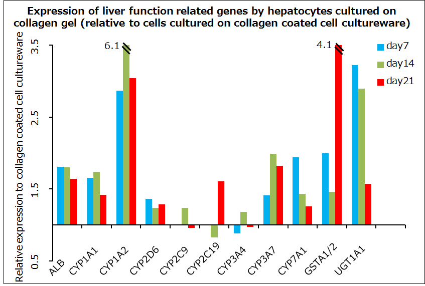 Expression of liver function related genes by hepatocytes cultured on collagen gel (relative to cells cultured on collagen-coated cell cultureware)