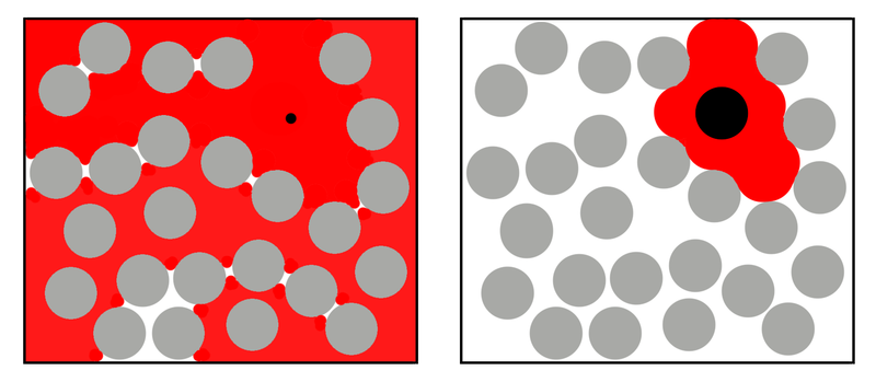 A schematic diagram of a solvent region (red) accessed by two molecules of different sizes (black circles) in a solution containing a high concentration of a polymer (grey circle).