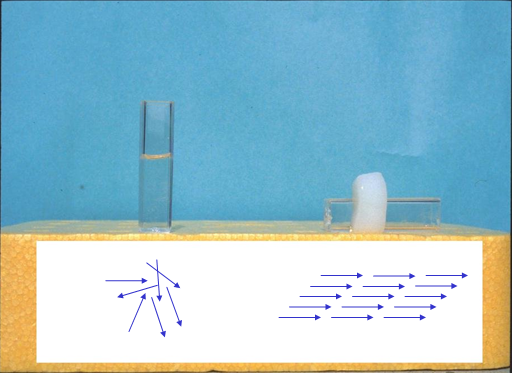 三次元培養 3d培養 がin Vitro実験を生体内に近づける 株式会社高研