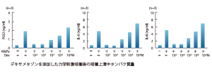 デキサメタゾンを添加した力学刺激培養後の培養上清中タンパク質量
